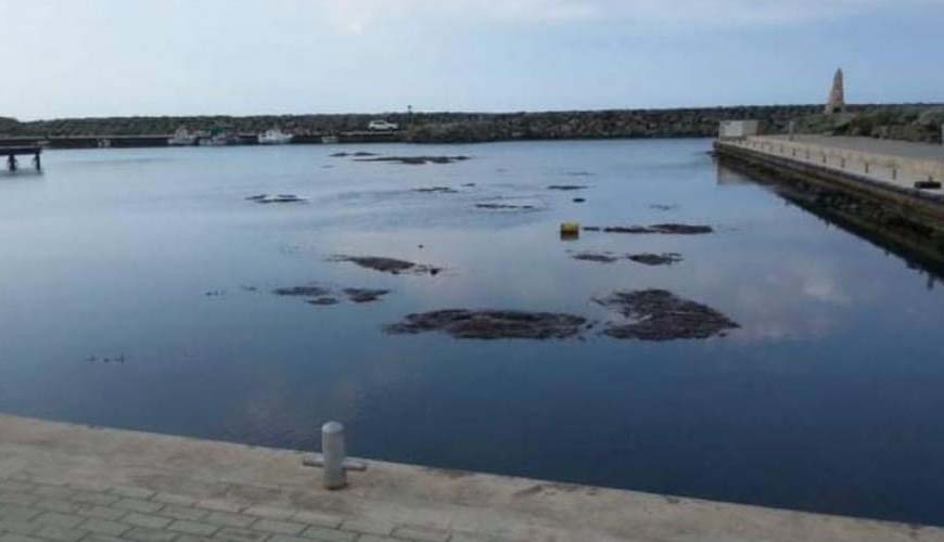 image Kato Pyrgos marine environment in immediate danger, say NGOs