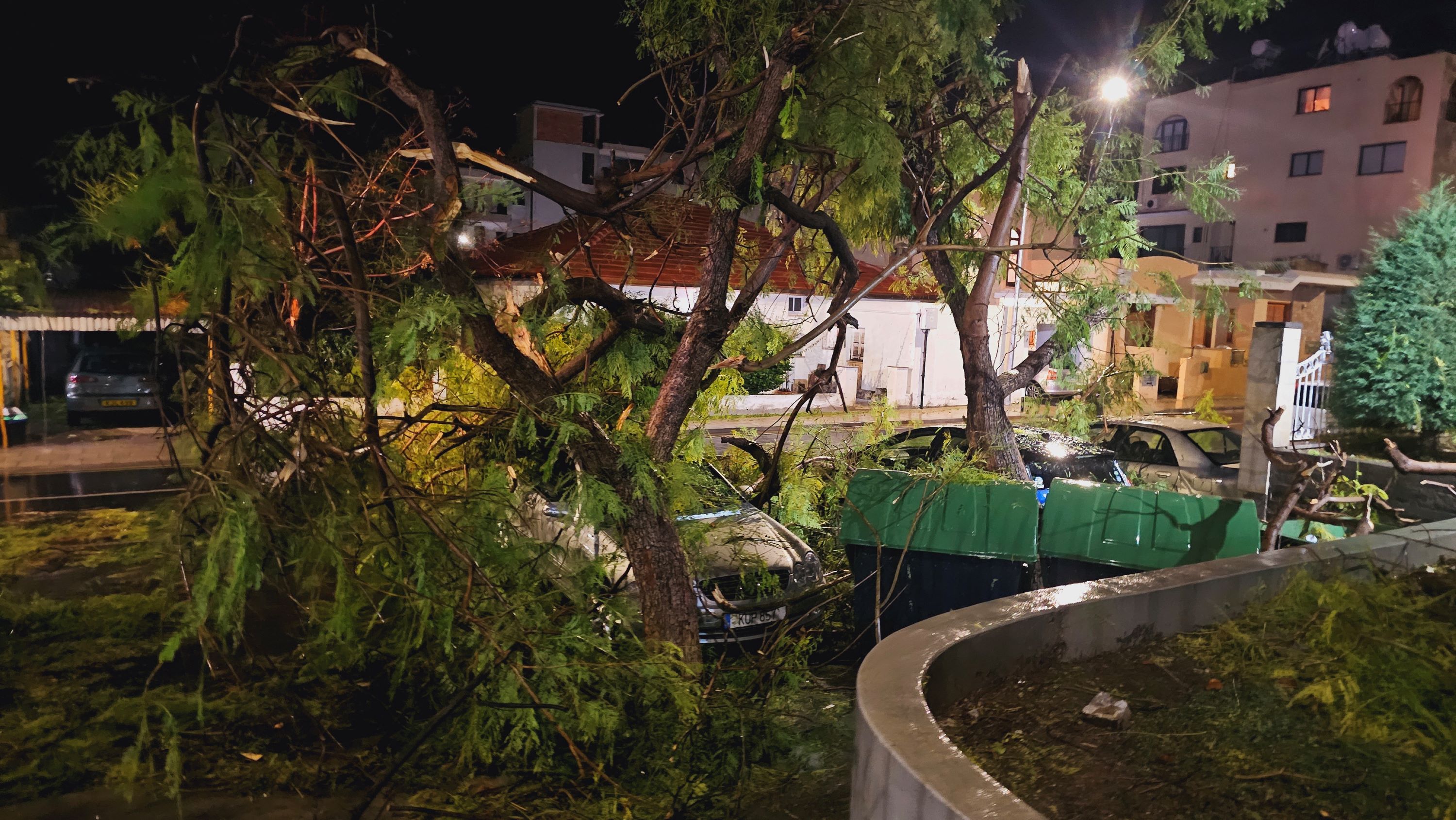 image Agriculture minister hopes to finish recording flood damage within the day