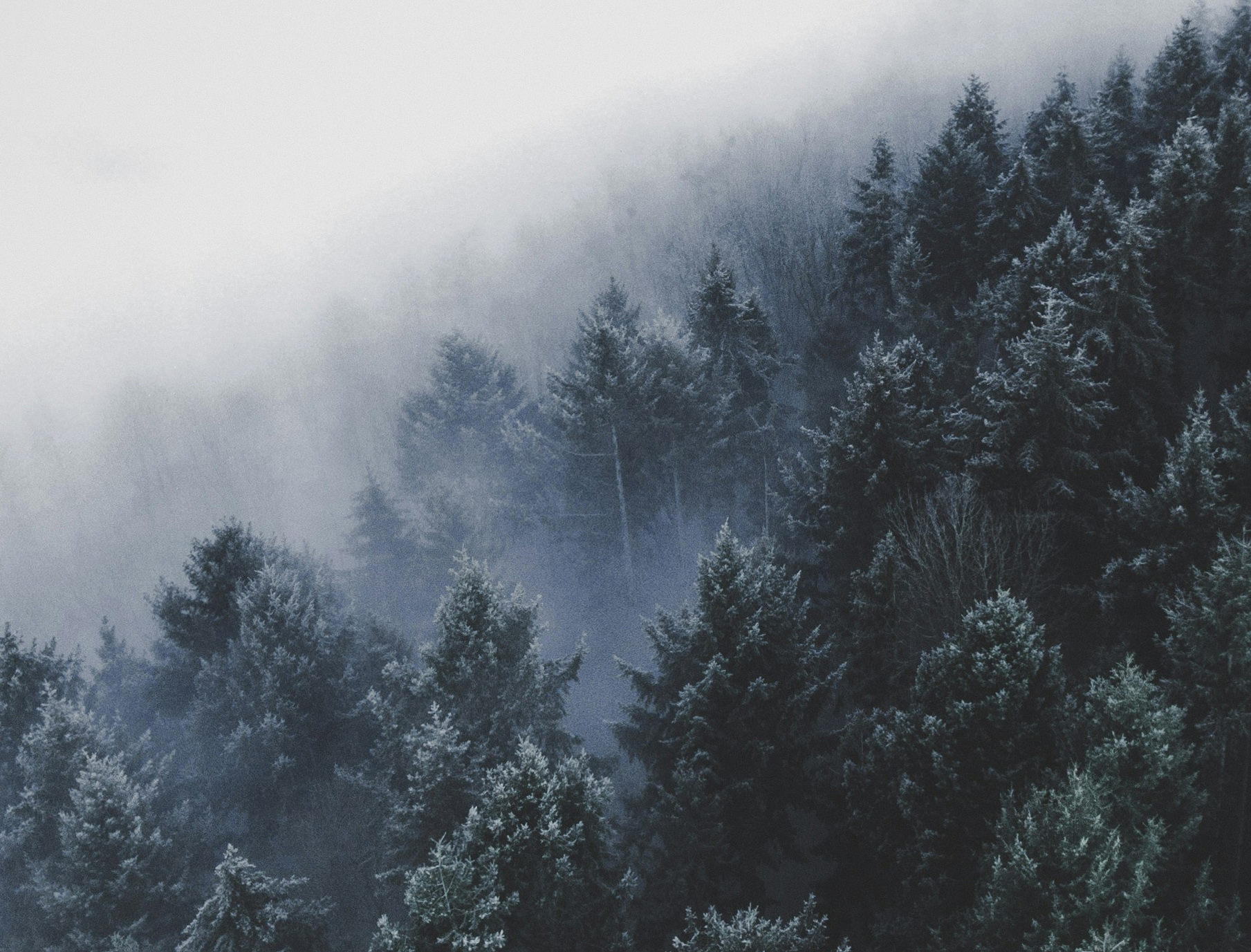 image What is Seasonal Affective Disorder (SAD)?