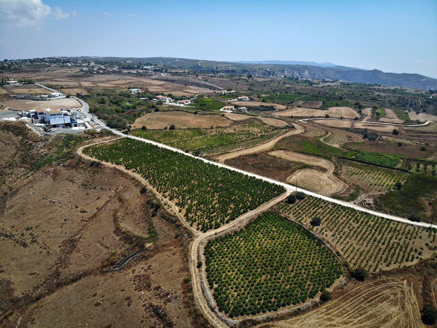 cover Single vineyards: does specific terroir mean better wine?