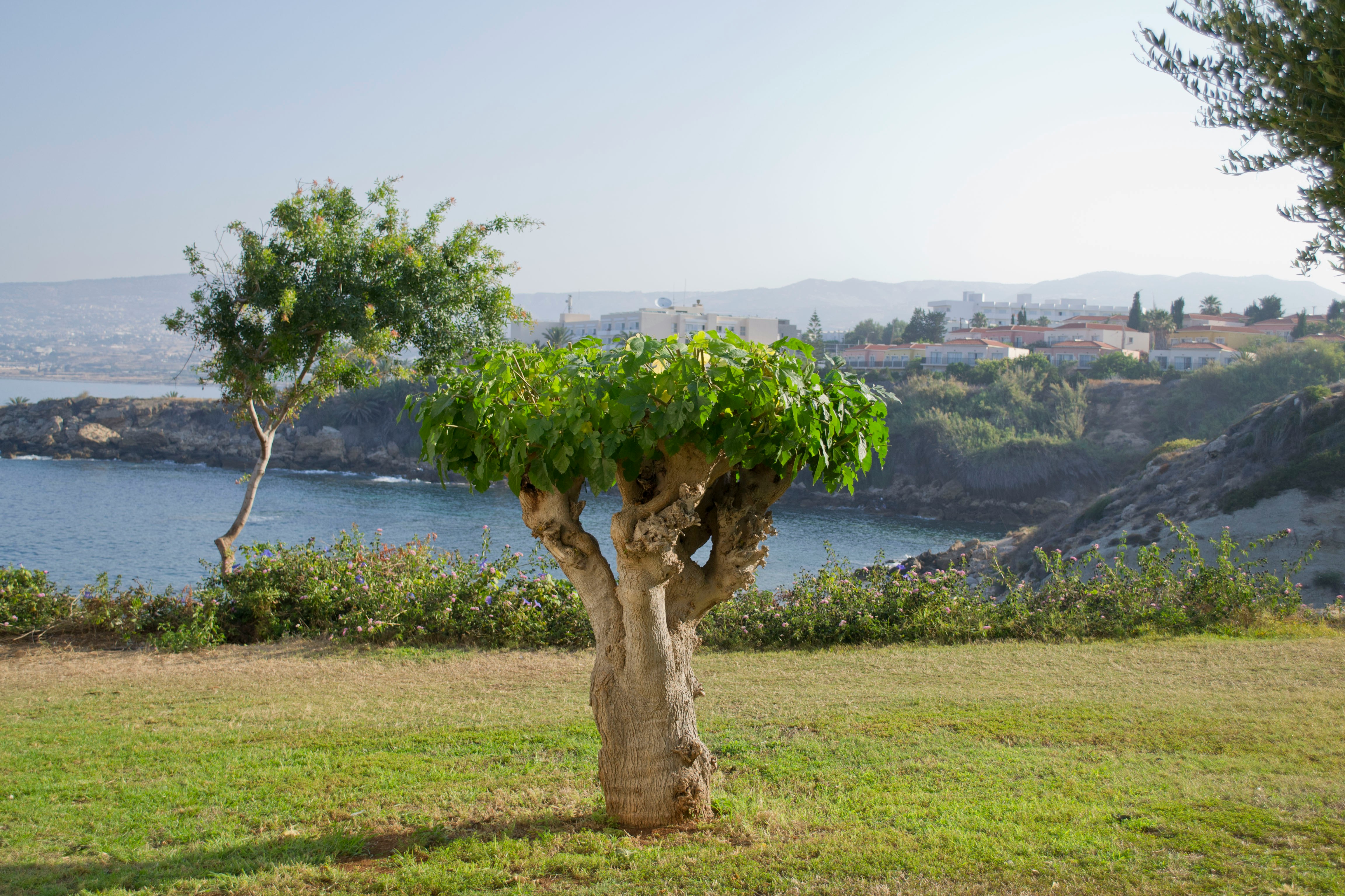 image Paphos secures green tourism award