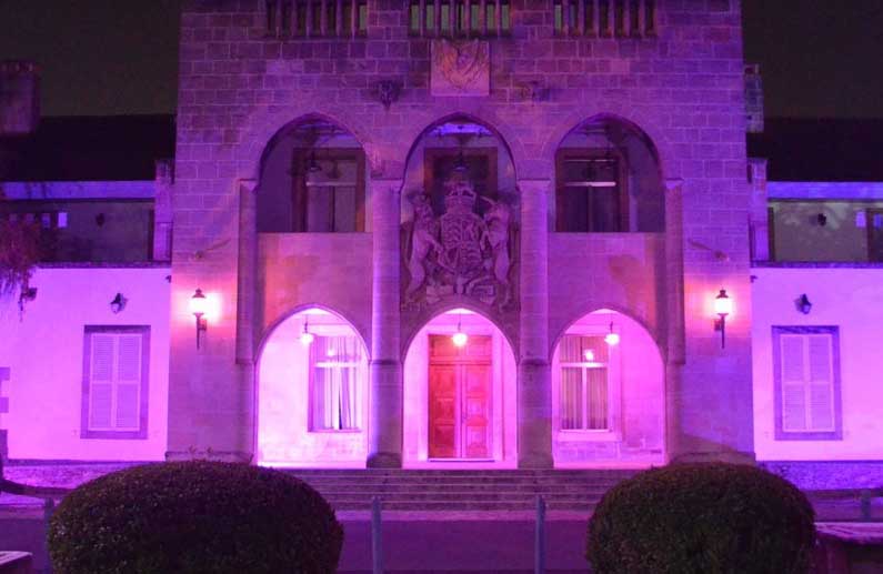 image Presidential palace lit up purple for pancreatic cancer campaign