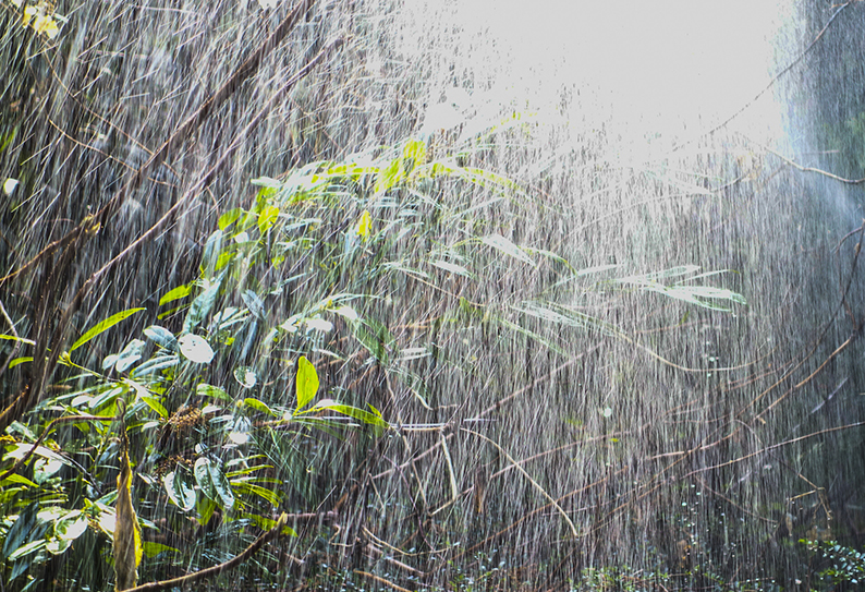 image November rainfall rises to 150% of average but reservoirs nearly empty