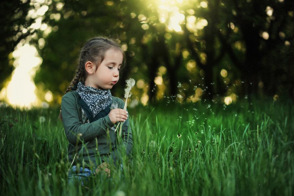 image Air is an overlooked source of nutrients