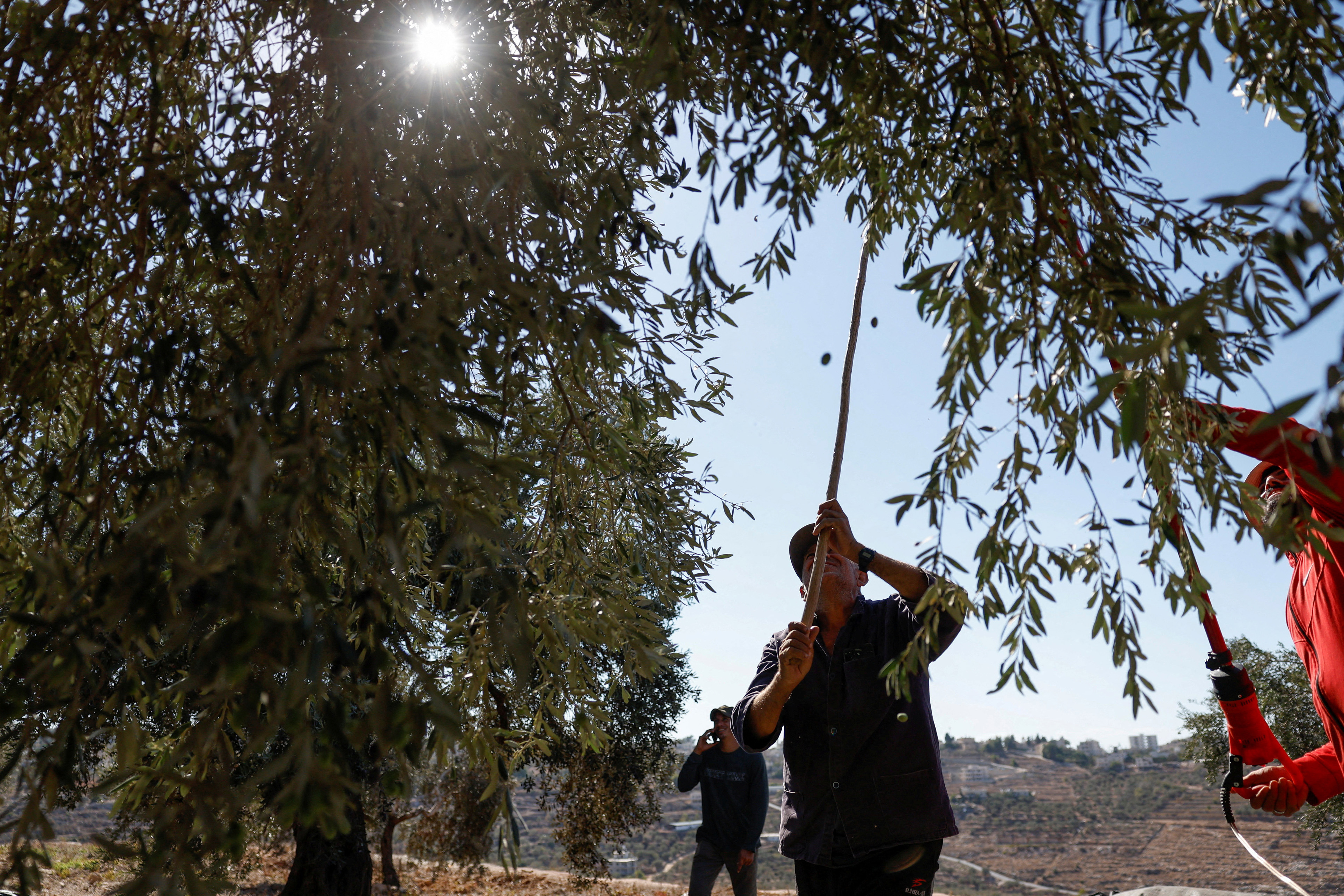 image Colonialism, starvation and resistance