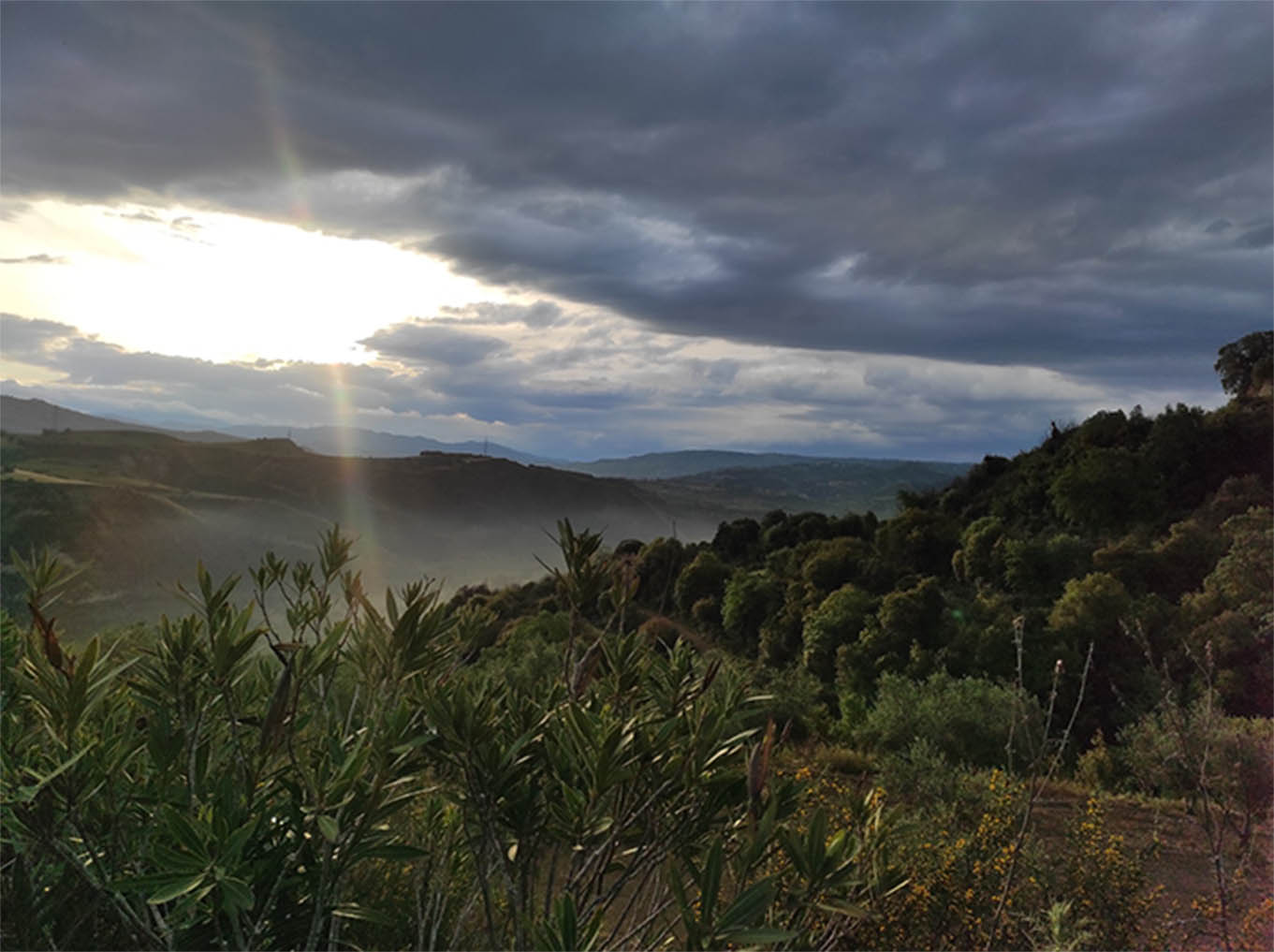 cover Today’s weather: Chance of storms in the afternoon