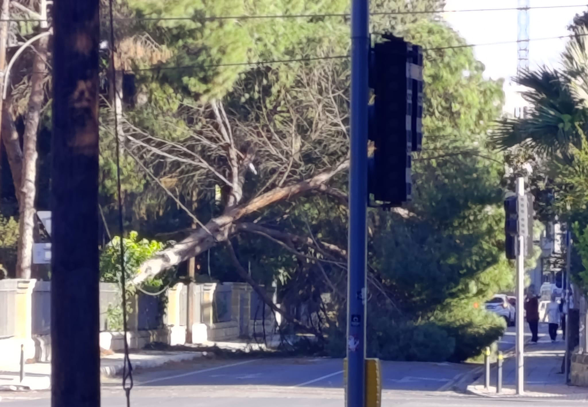image Strong winds cause chaos around Cyprus (photos)