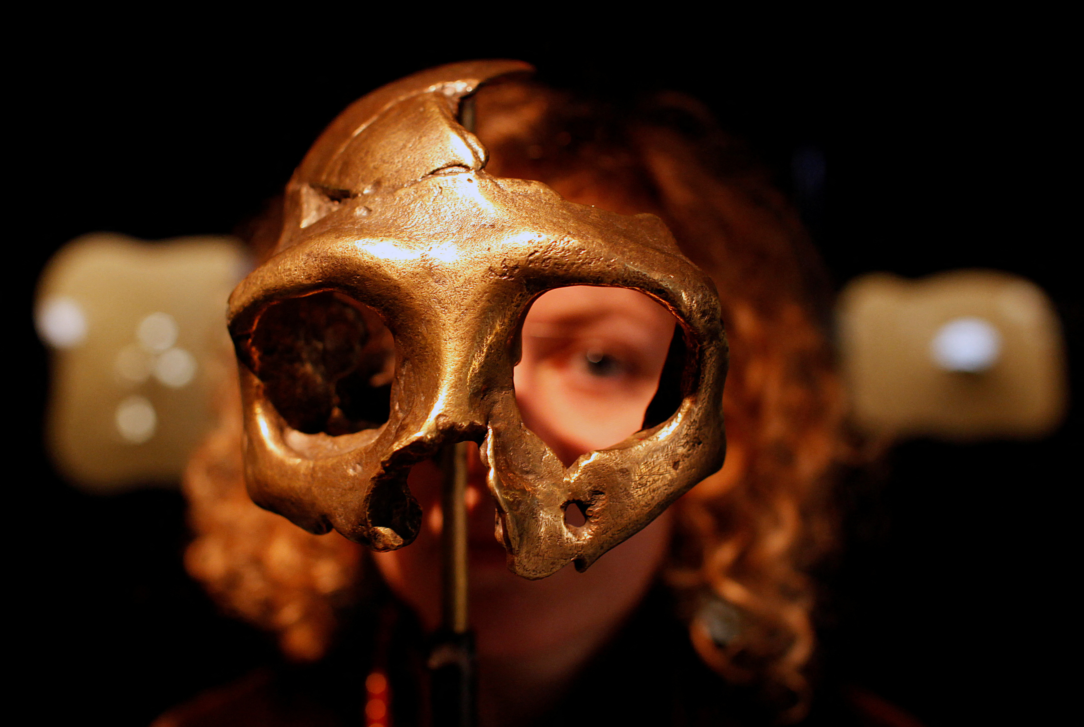 image Genomes reveal timing of Homo sapiens interbreeding with Neanderthals