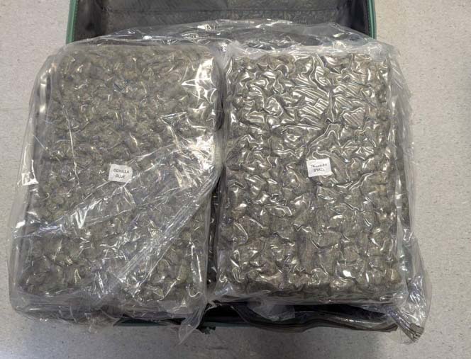 image Australian man held after 23kg of cannabis found in luggage