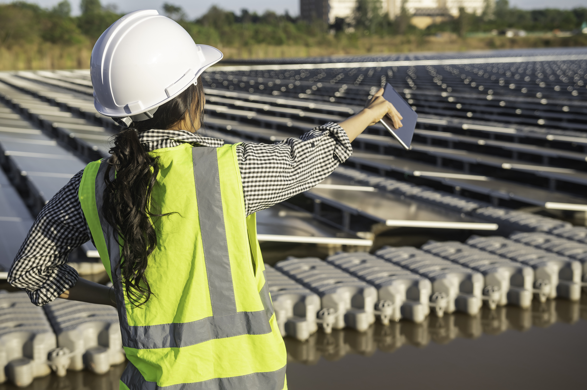 cover Solar panel owners left in the dark as energy goes to waste