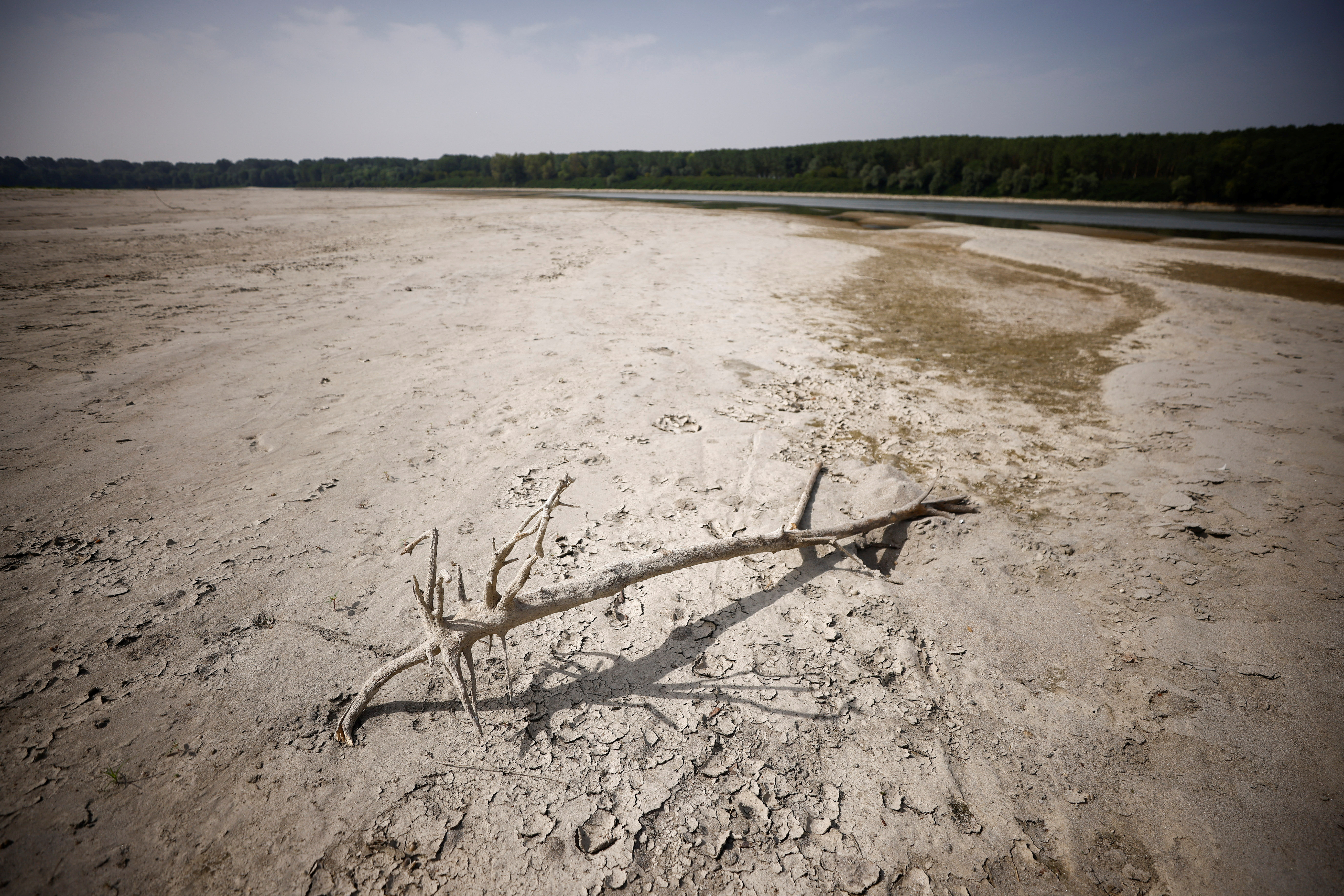 image 2024 is the hottest year on record, EU scientists say