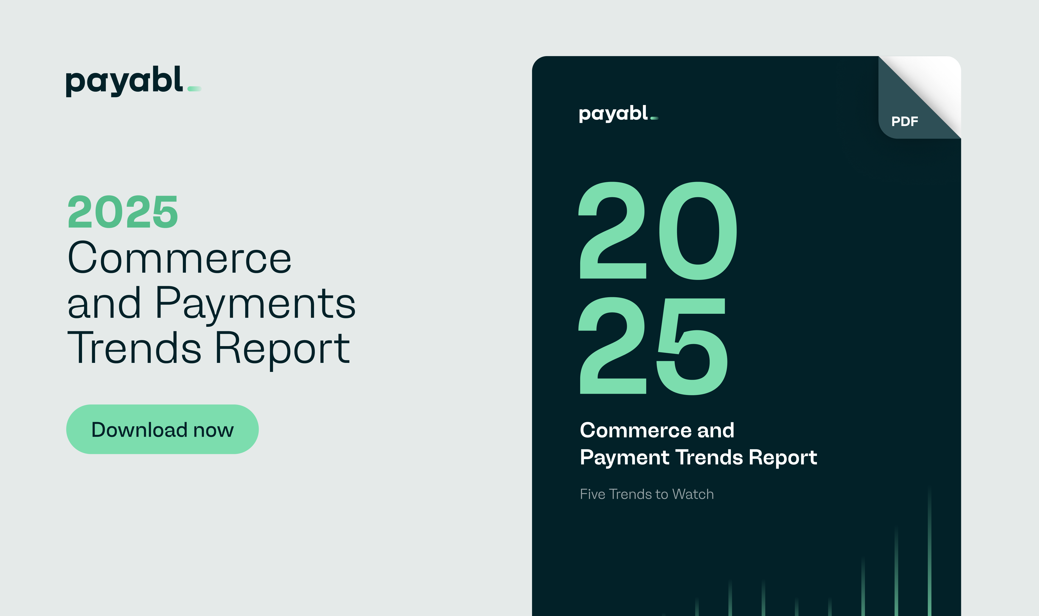 image Digital wallets and open banking to dominate payments in 2025, research shows