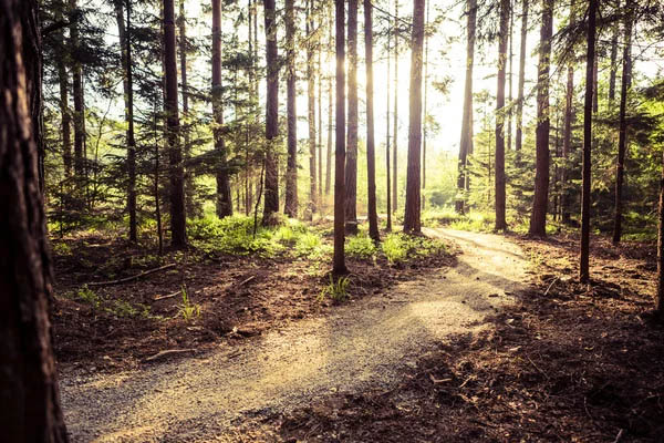 image Mountain trail closures announced