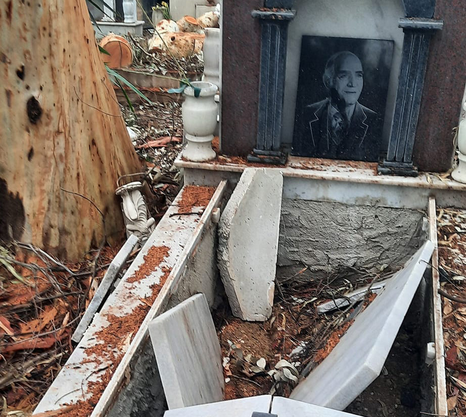 image Graves damaged after local authorities prune cemetery trees