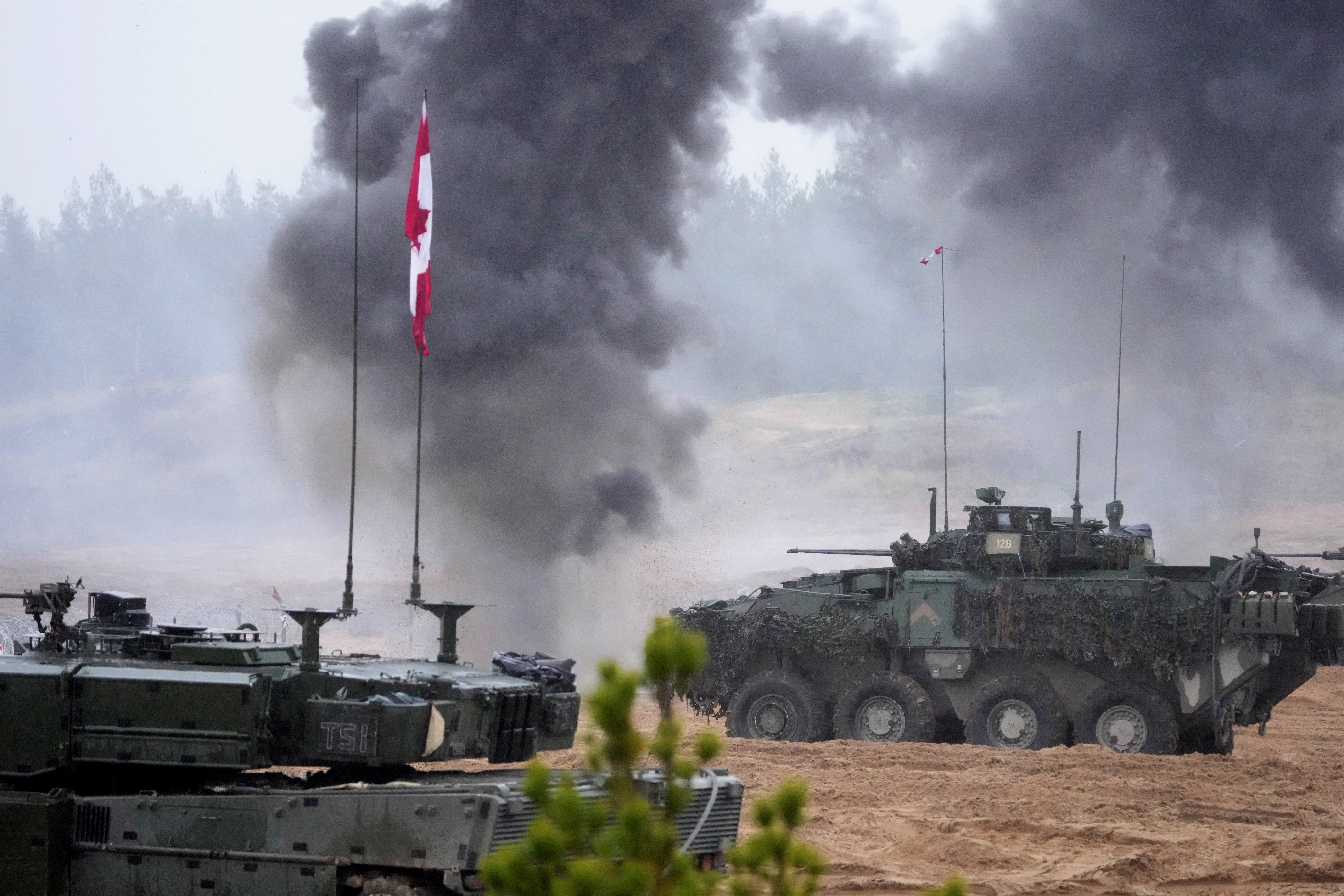 image Nato accession genie now out of the bottle