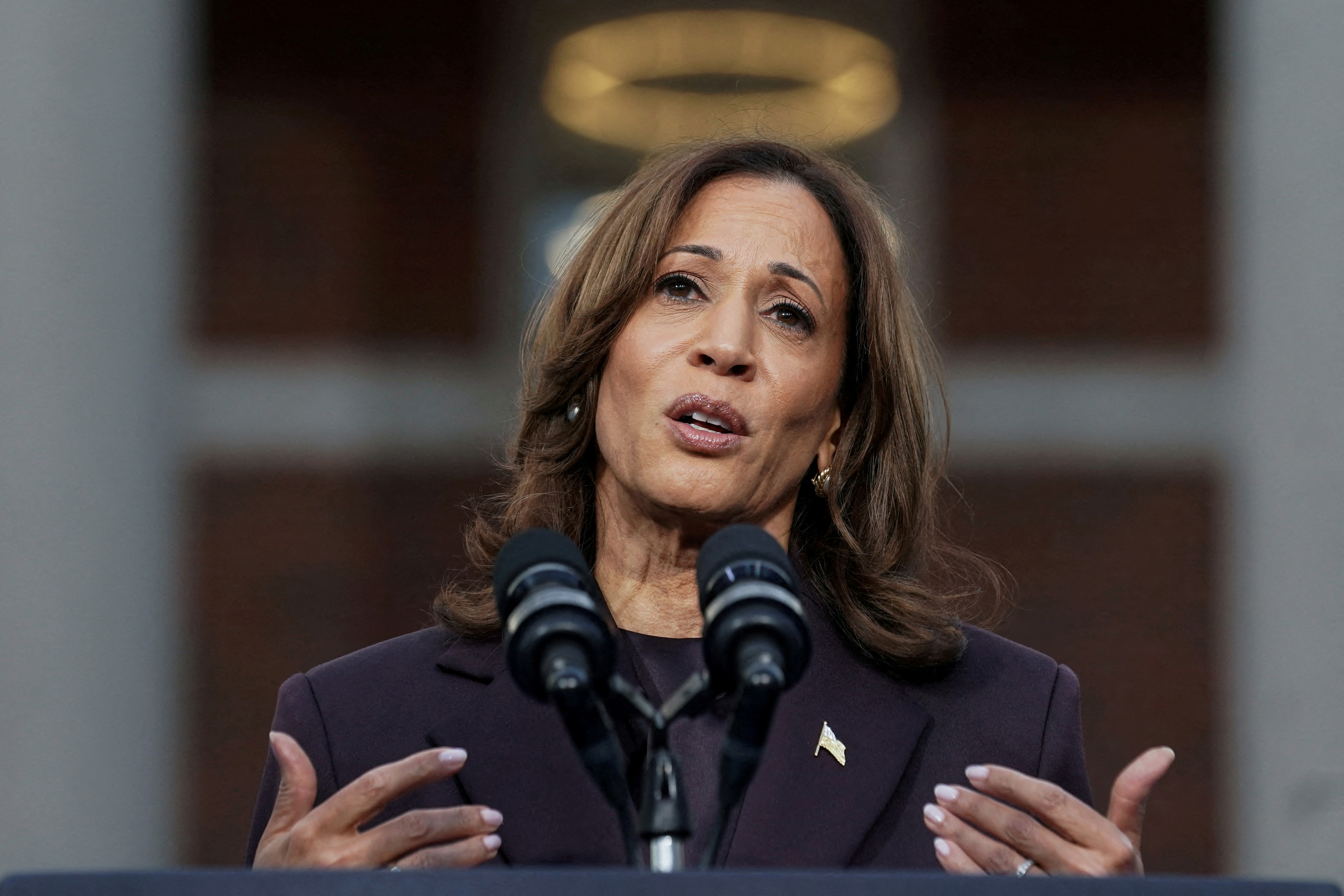 image Democrats blame Harris election loss on outside factors