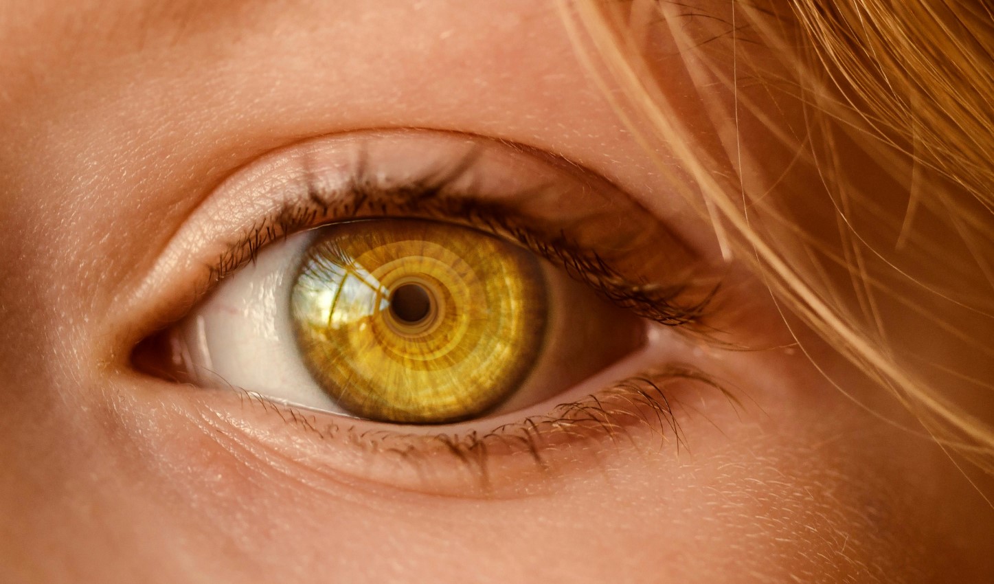 image Fresh eyesight insights bring human eye into sharp focus