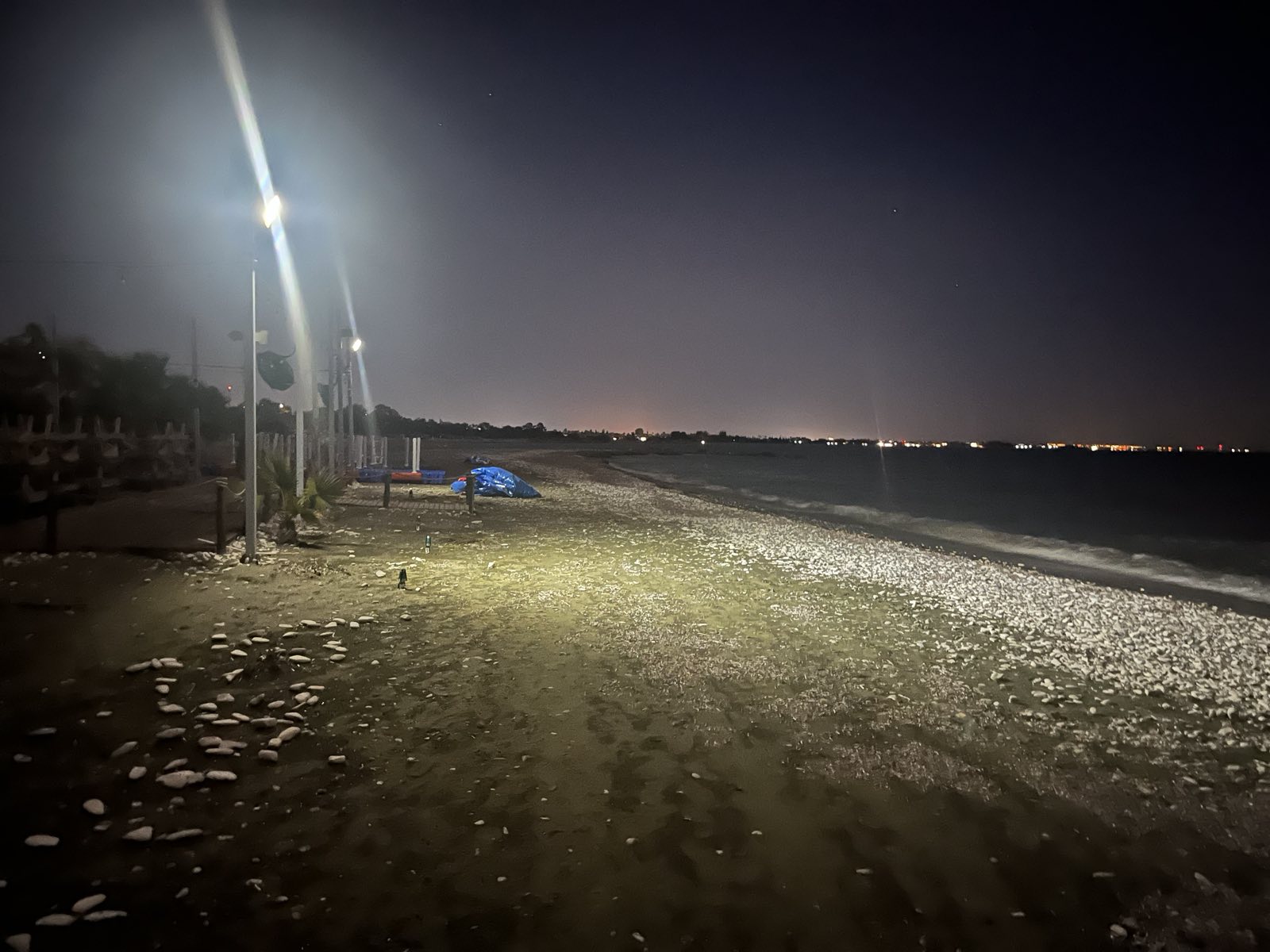 image ‘Pervolia turning blind eye to illegalities threatening sea turtles’