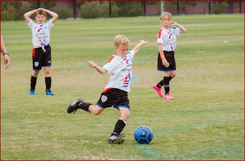 image How to organize a successful sports tournament