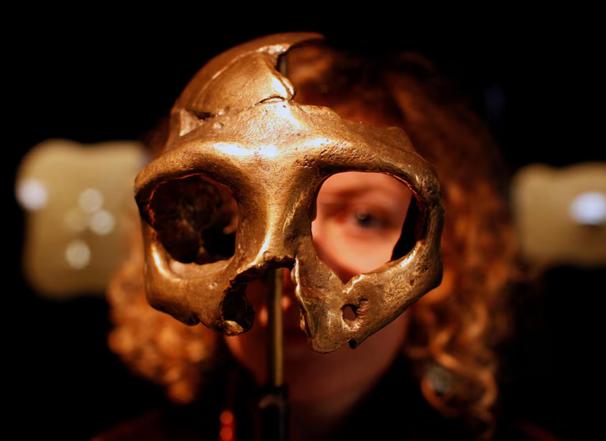 image Genomes reveal timing of Homo sapiens interbreeding with Neanderthals