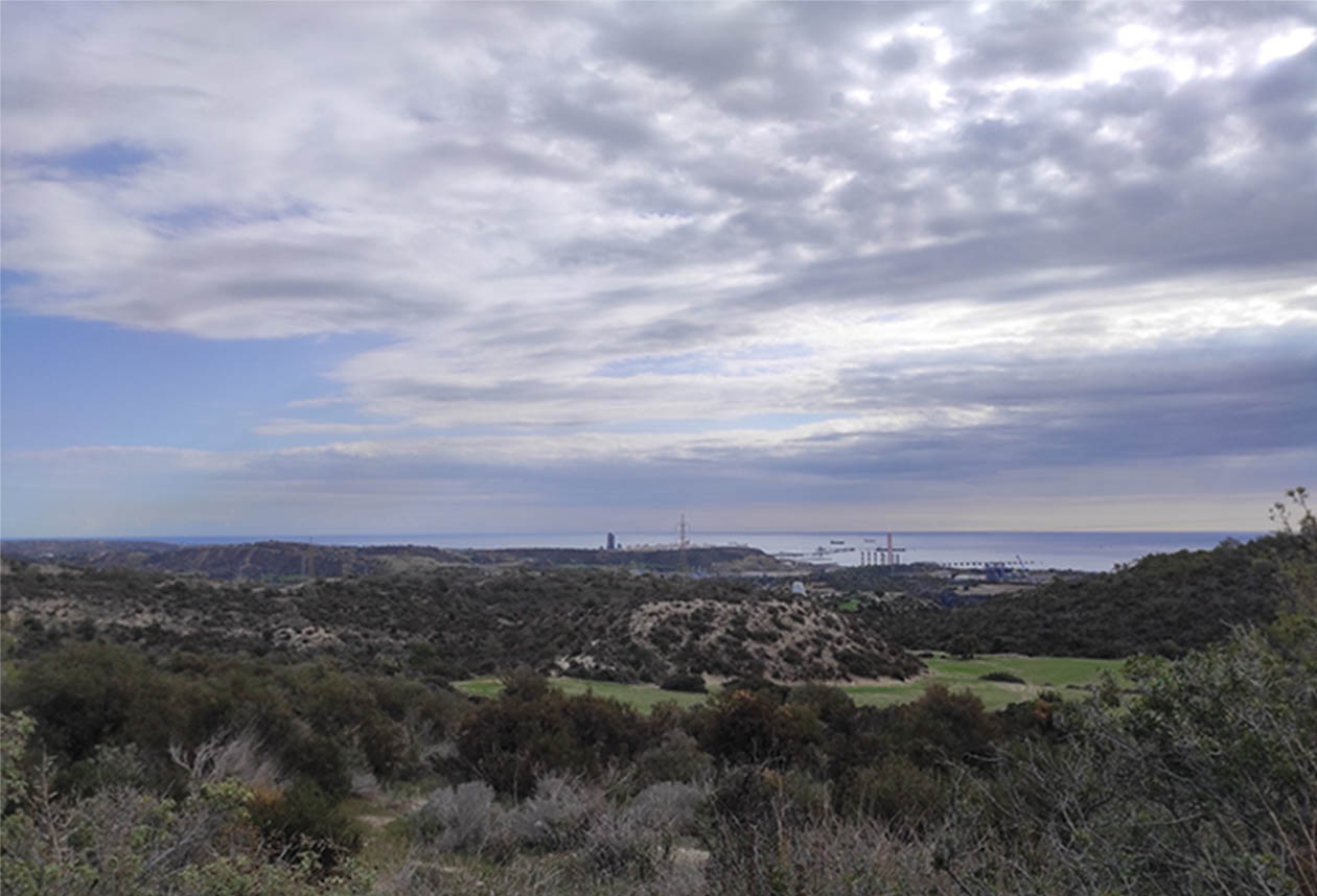 image Overcast with mild temperatures