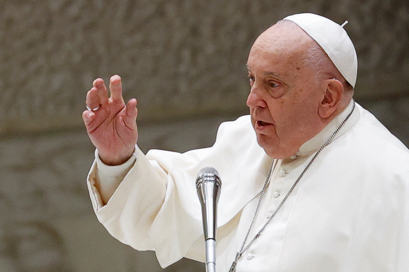 image Pope calls Gaza airstrikes &#8216;cruelty&#8217; after Israeli minister&#8217;s criticism