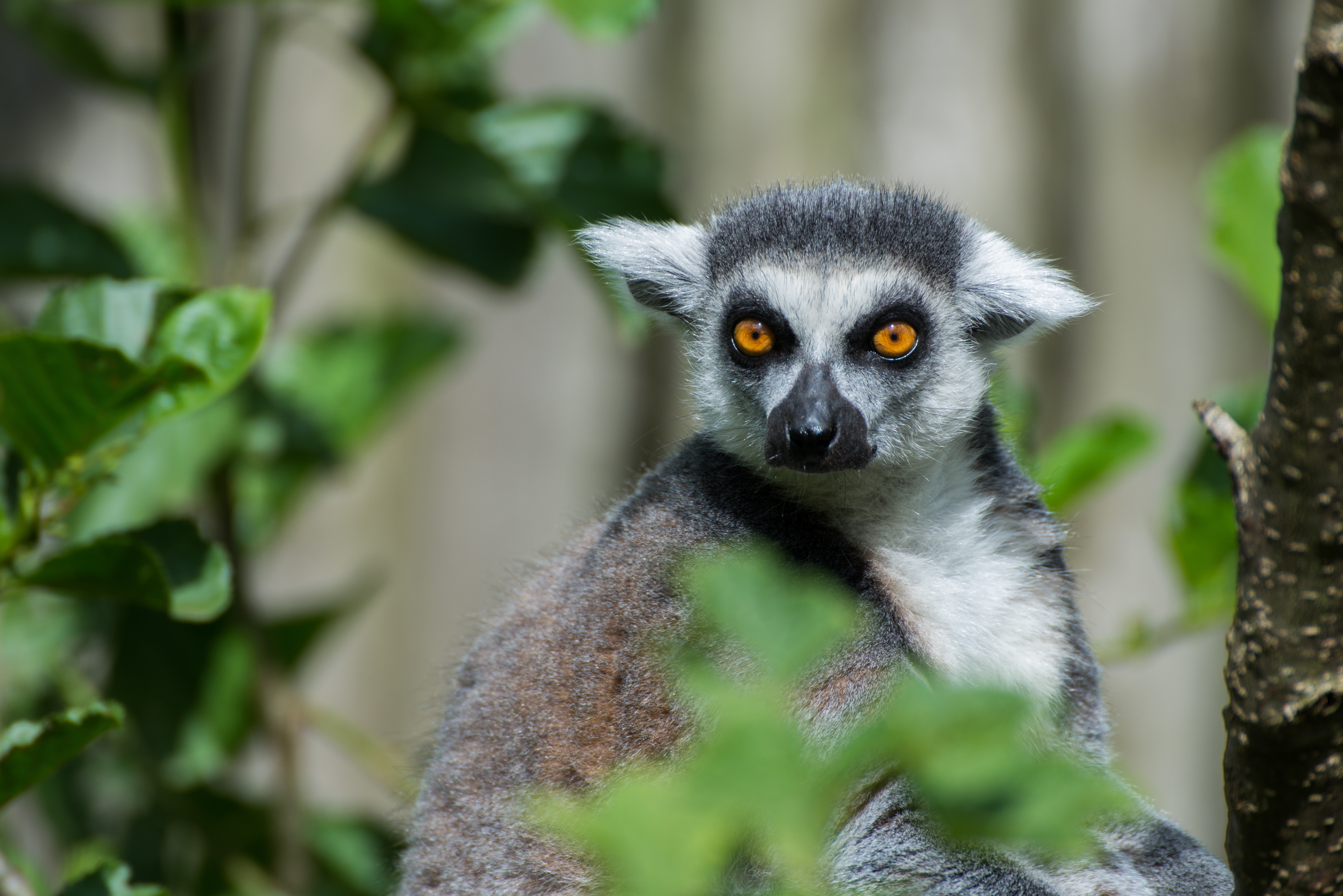 image Why your next holiday should be in Africa