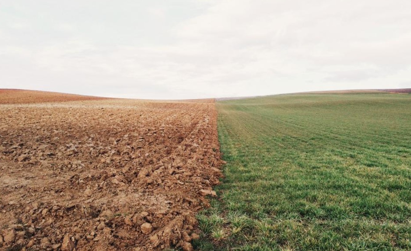 image Waste not, want not: turning food waste into fertile soil for sustainable growth