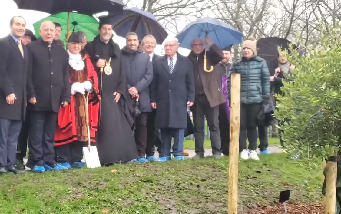 image Londoners plant symbolic olive tree