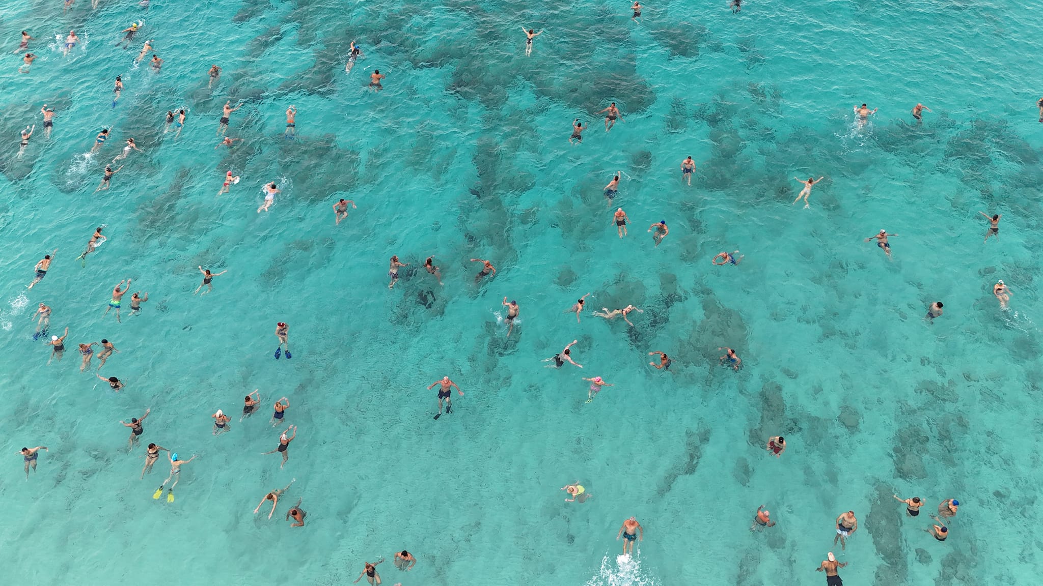 image International swimmers fest coming up in Ayia Napa