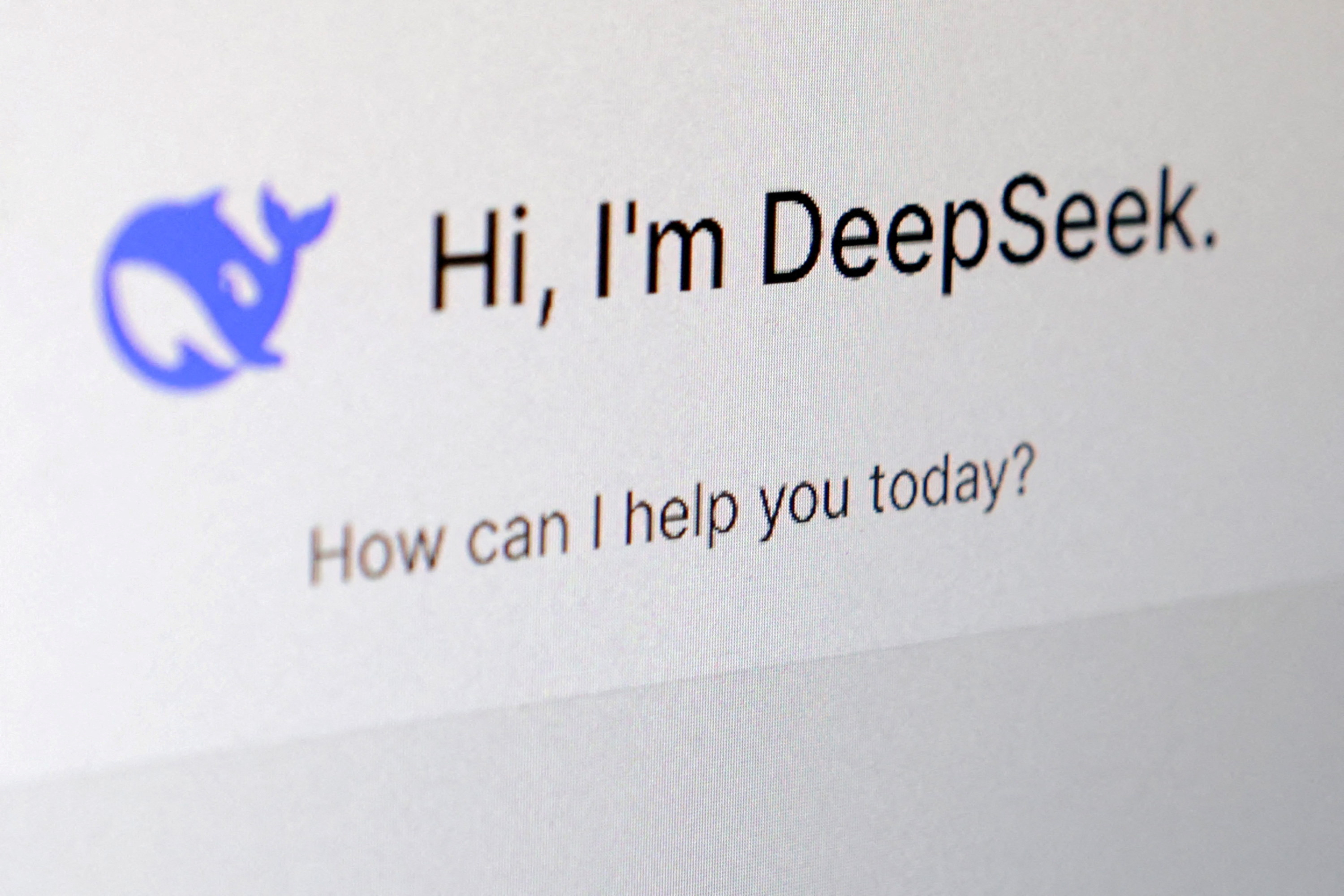 image French privacy watchdog to quiz DeepSeek on AI, data protection