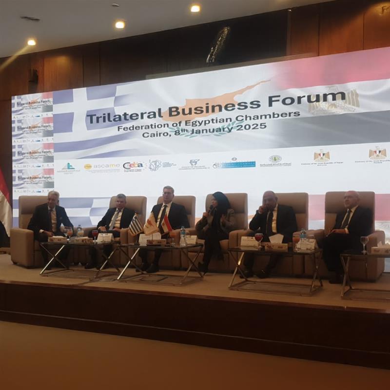 image Cairo summit agreements key for regional prosperity, says Invest Cyprus