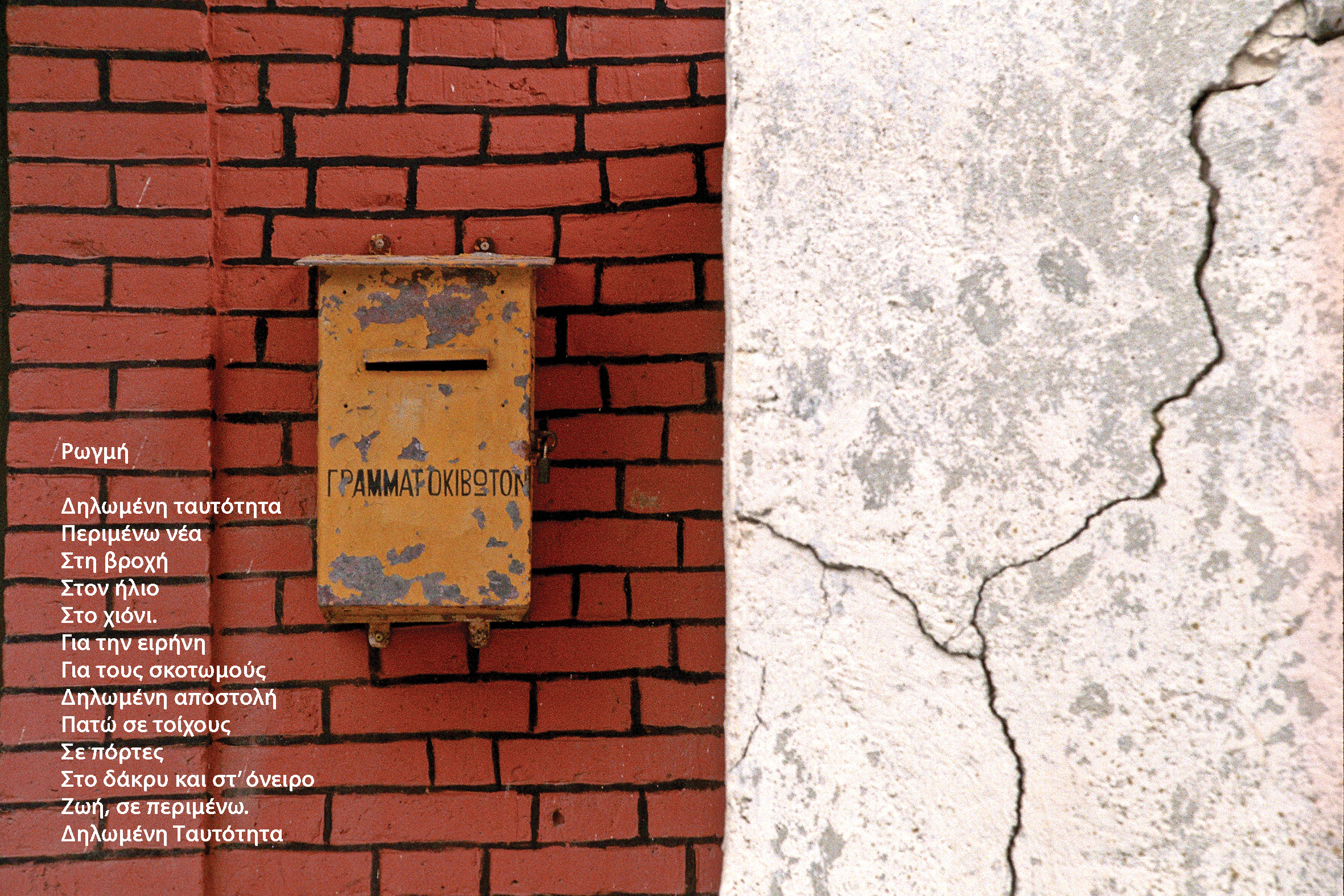 image 1/1000 exhibition: exploring the bond between poetry and photography