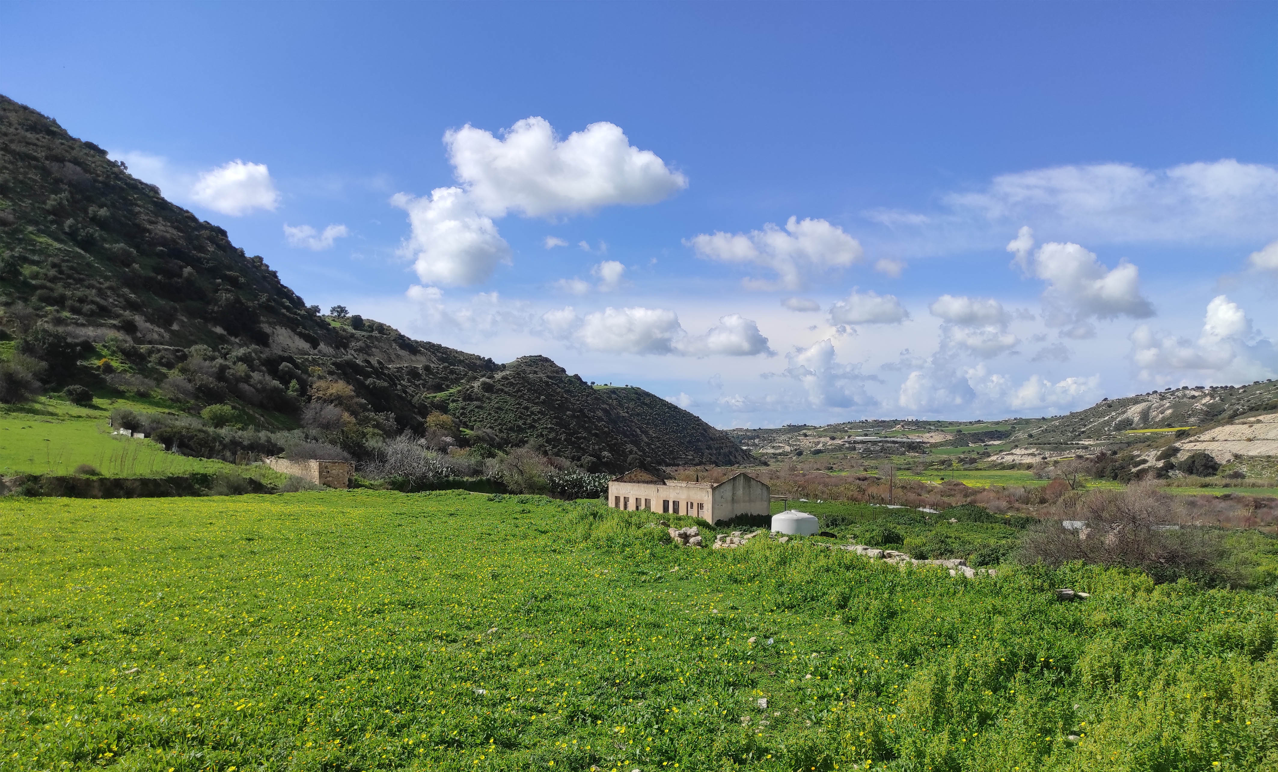 image Partly cloudy, windy on southwest coast