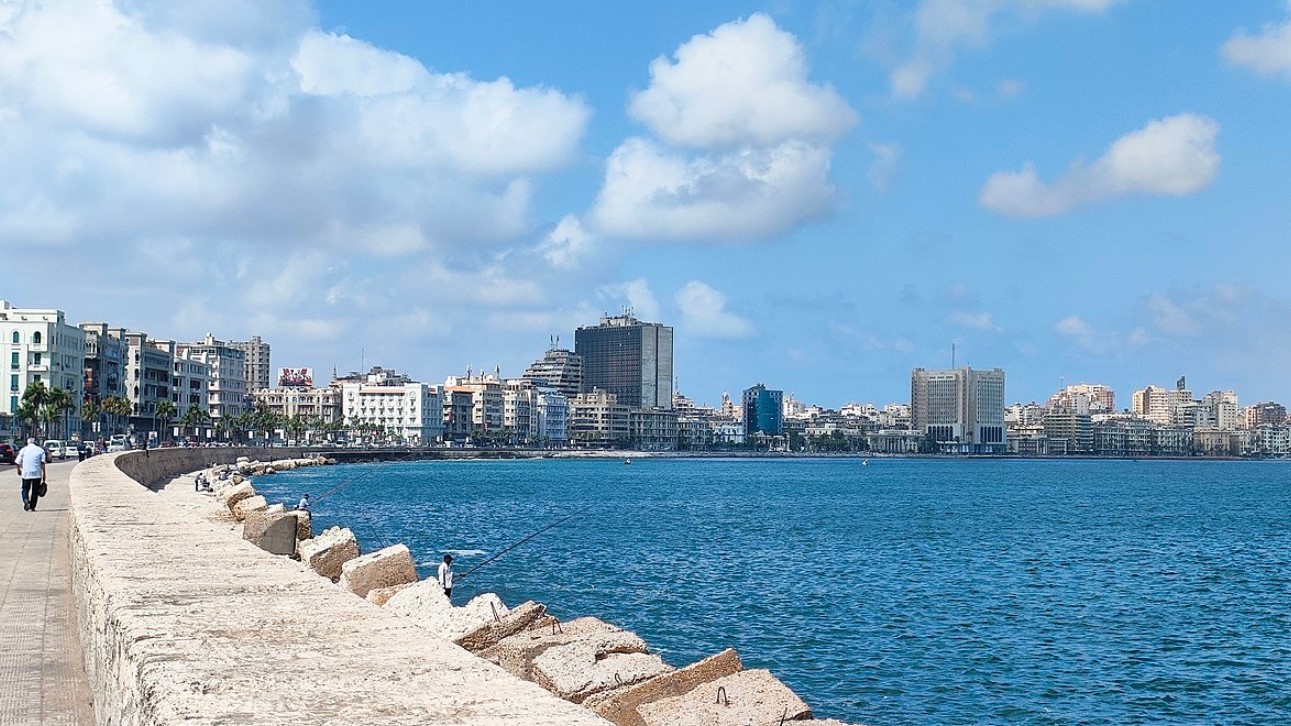 image IMO launches regional office in Egypt