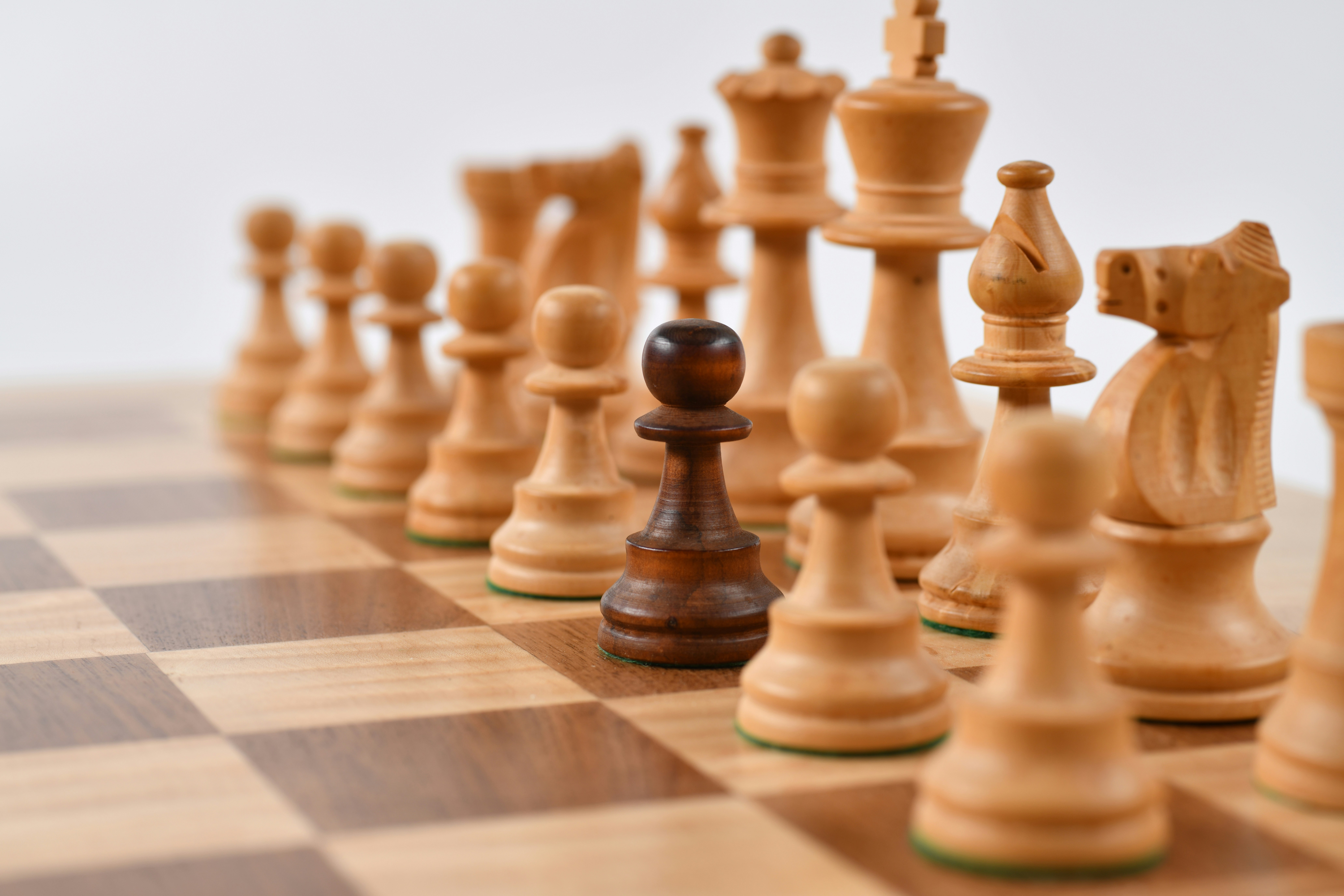 image Education ministry to start promoting chess