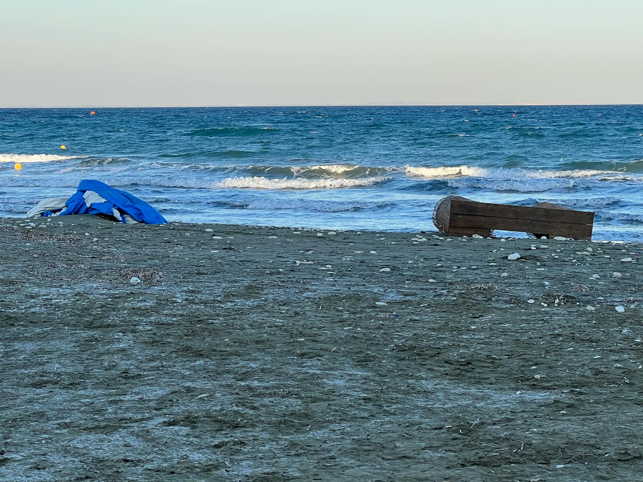 image Dog beaches in Cyprus deemed inaccessible, says the animal party