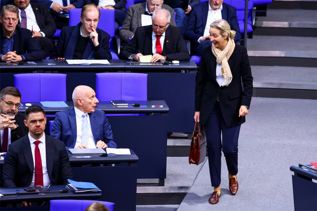 image Far-right could enable law for first time in modern German history