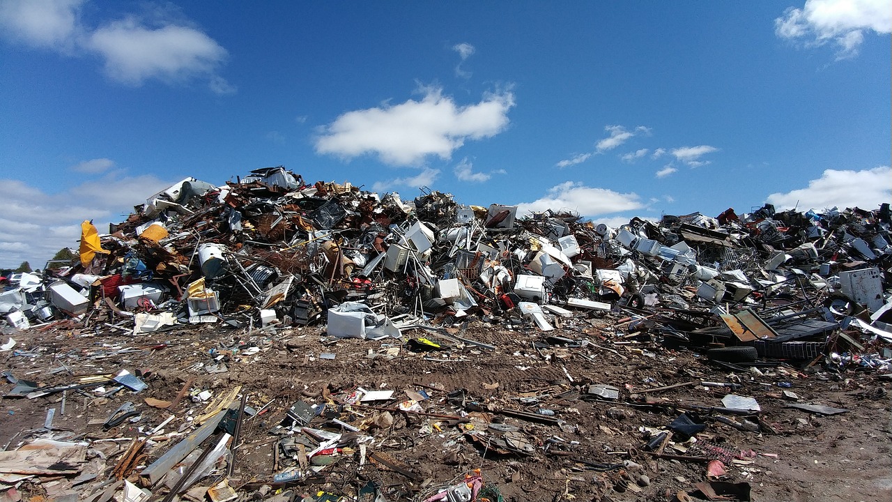 image Our View: Waste management system is a disgrace