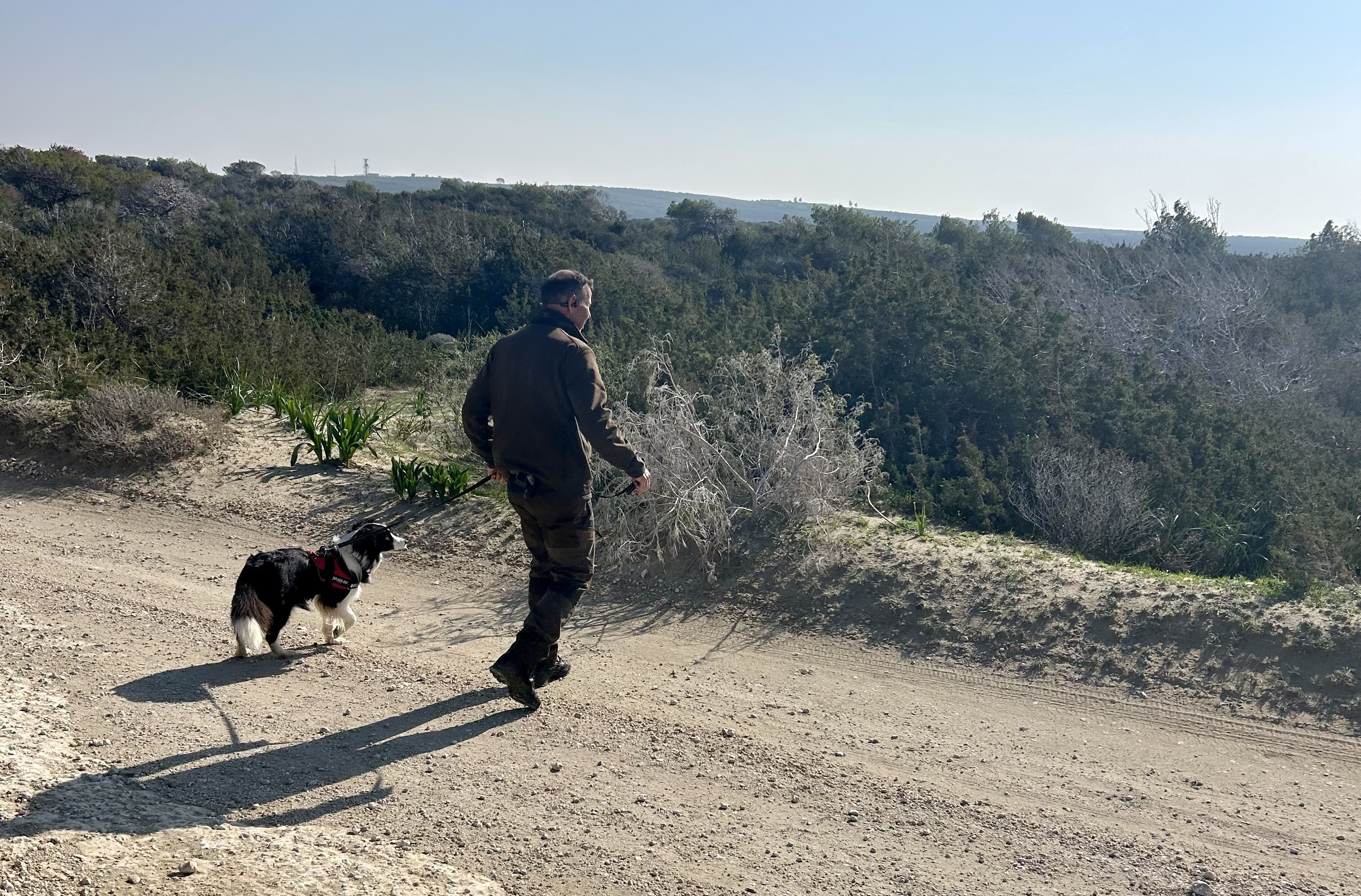 image Dogs and foxes poisoned in Akrotiri and Episkopi