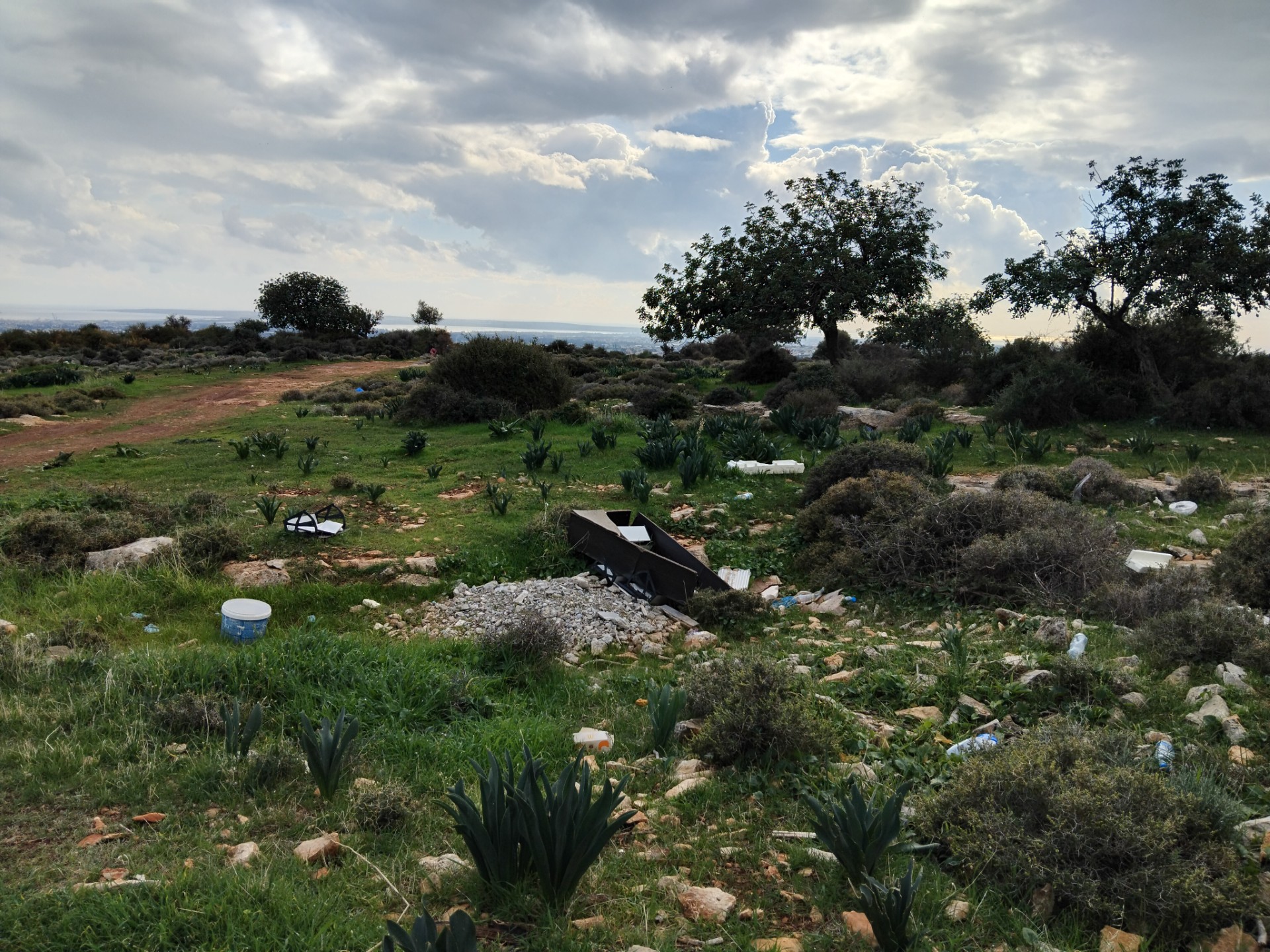 image City Friends Club joins forces with Polemidia municipality for urgent cleanup at Polemidia hill