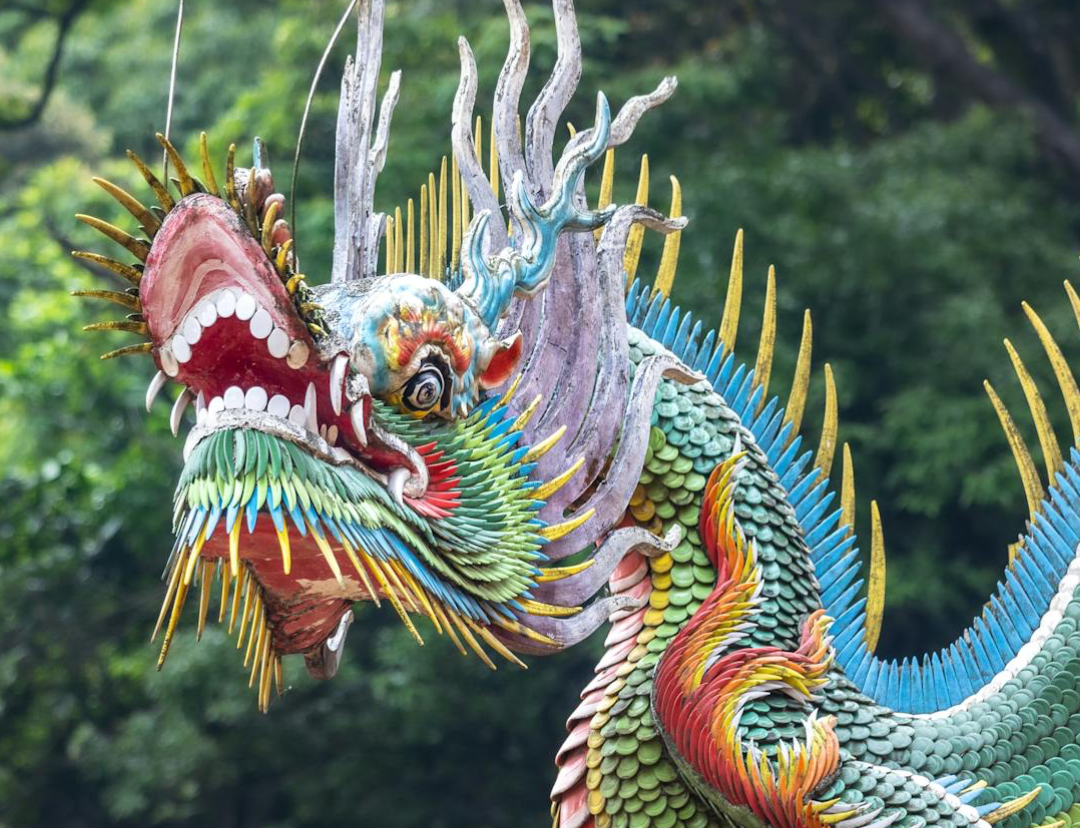 image The Year of the Wood Snake: aligning with growth, harmony, and prosperity in Cyprus