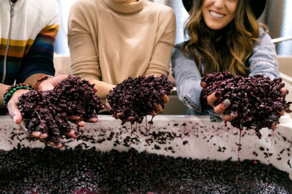 cover Wine trends for 2025
