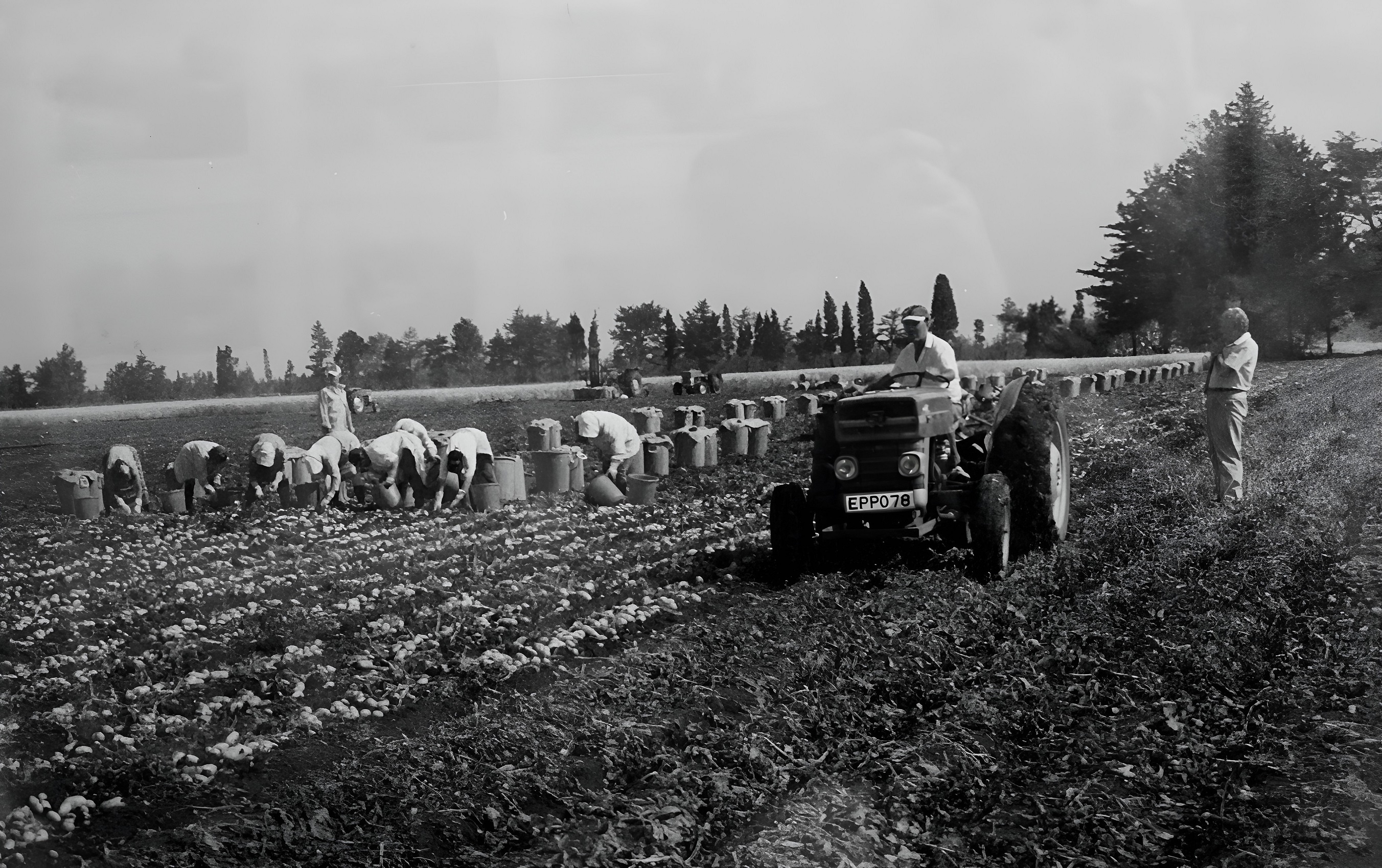 image Get to know Kiti’s history, residents and artists