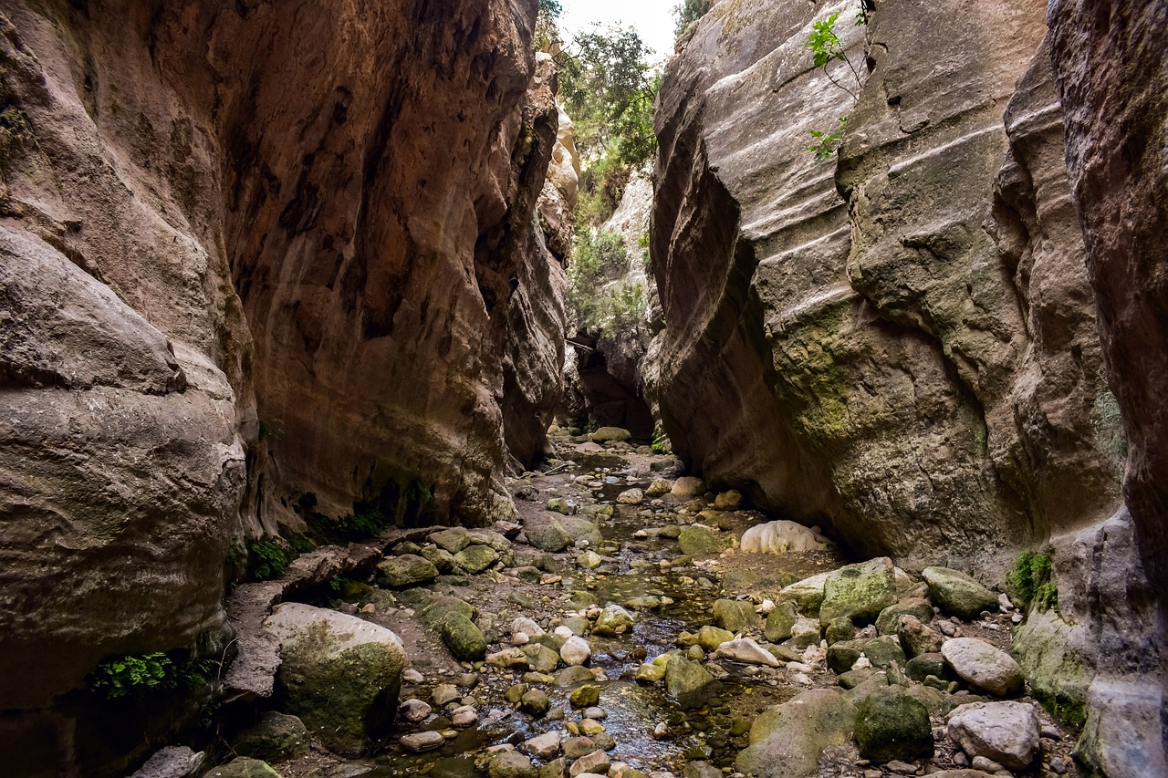 image Tourists injured after falling into gorge