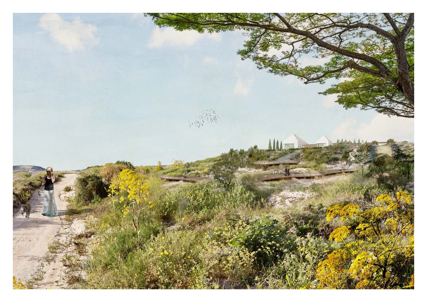 image Cyprus’ first crematorium set to open in 2026