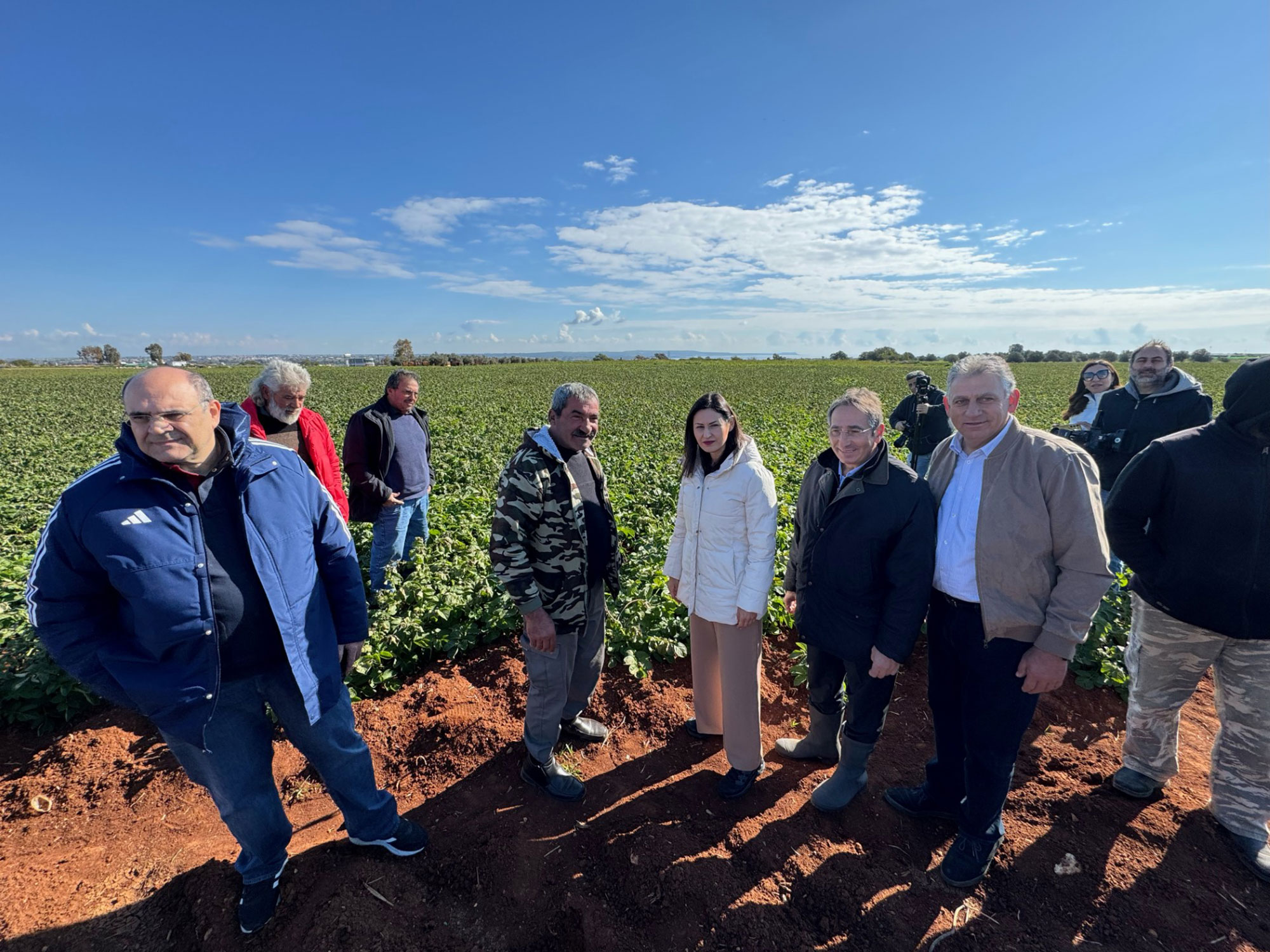 image Farmers to receive support after cold weather devastates potato crops