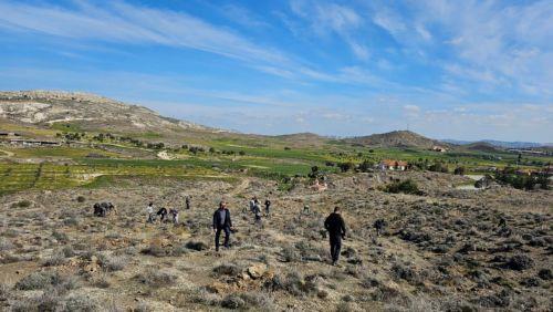image Hundreds of saplings planted in Athienou and Avdellero