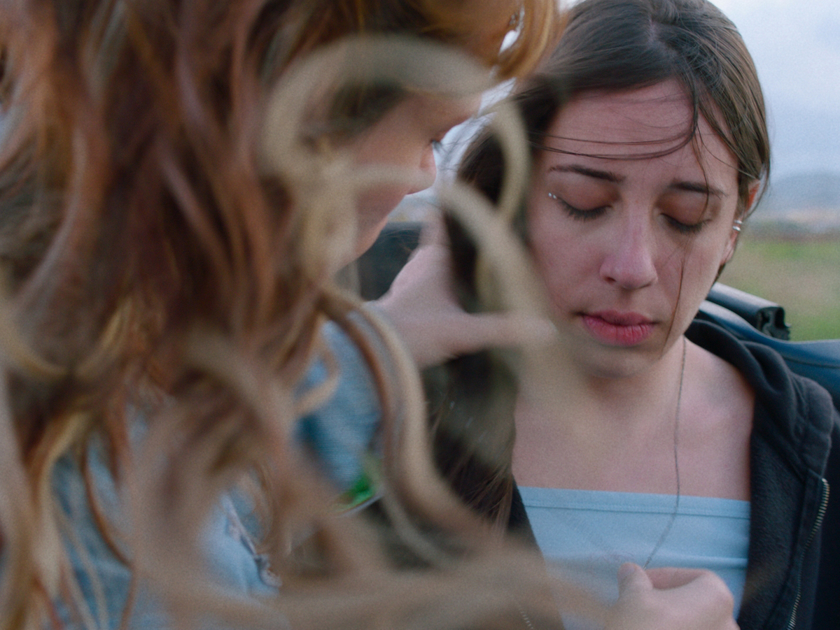 image Award-winning films take to Cyprus road