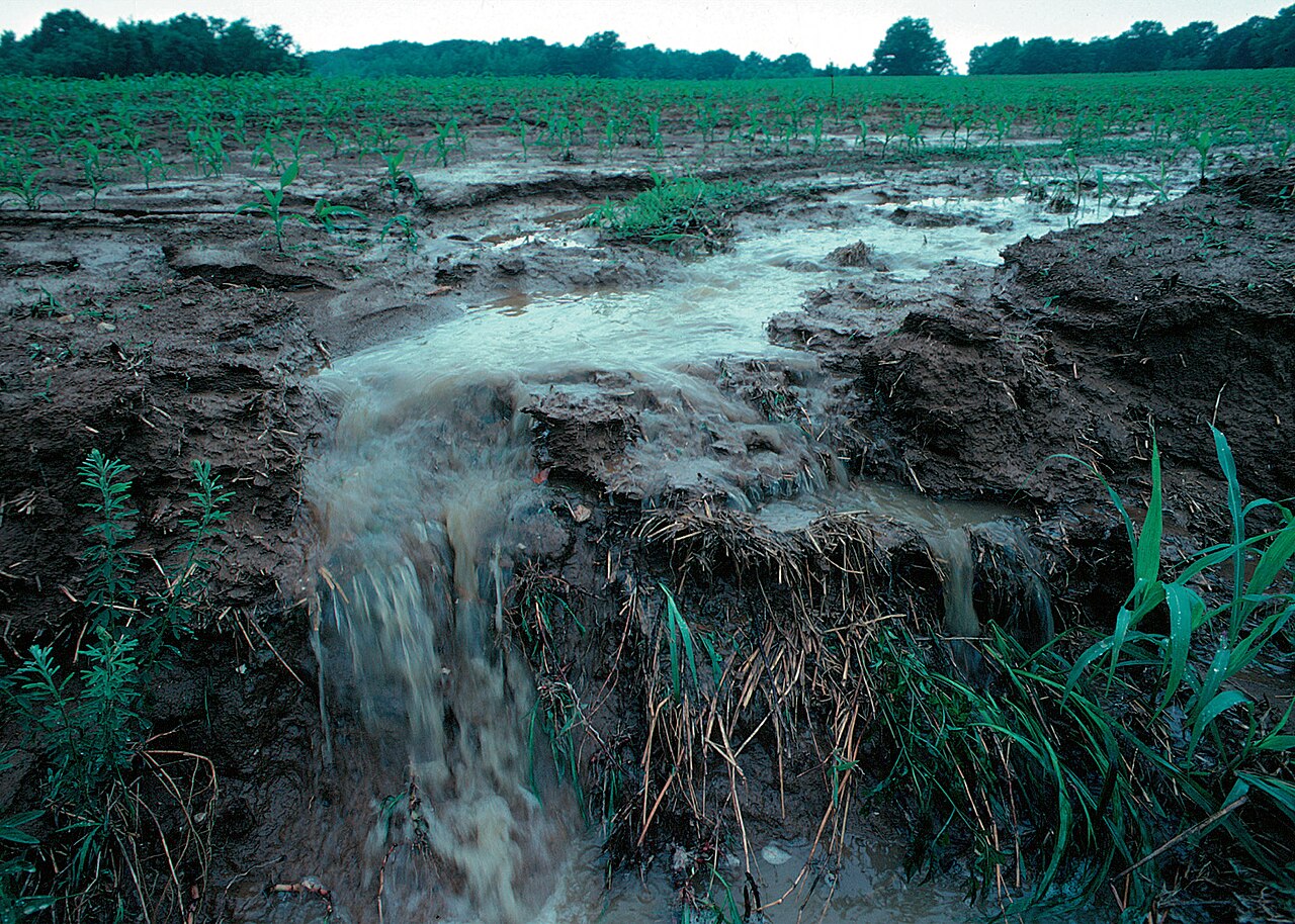 image Europe&#8217;s water resources under pressure, most surface bodies polluted, EU says